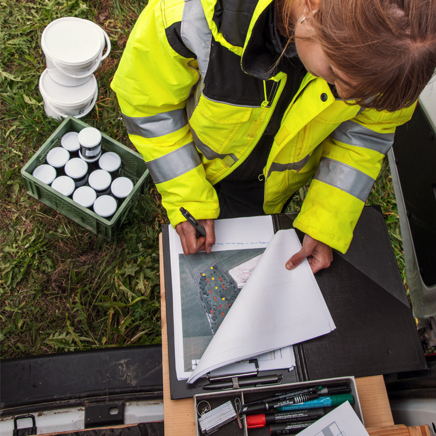 Dekoratives Bild Dekoratives Bild